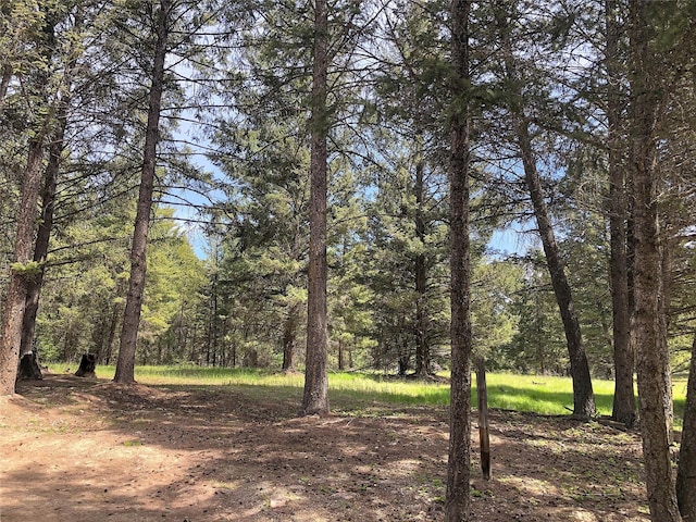 192 Crystal Lakes Dr, Eureka, MT 59917 - view of tree filled area