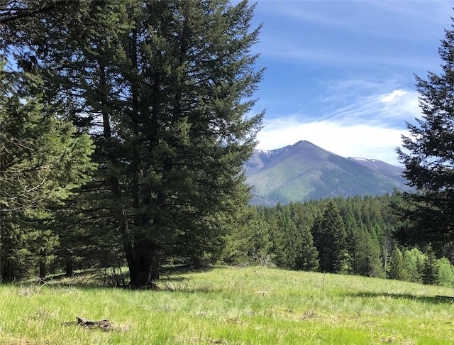 192 Crystal Lakes Dr, Eureka, MT 59917 - view of mountain backdrop with a forest