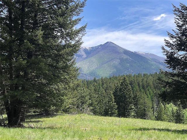 192 Crystal Lakes Dr, Eureka, MT 59917 - view of mountain background featuring a heavily wooded area