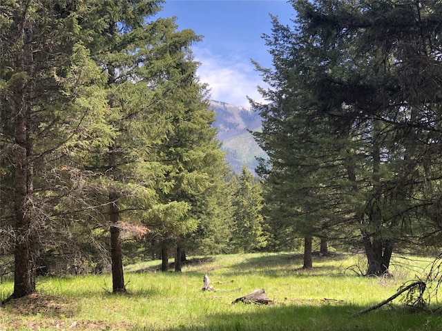 192 Crystal Lakes Dr, Eureka, MT 59917 - view of woods featuring a mountain view