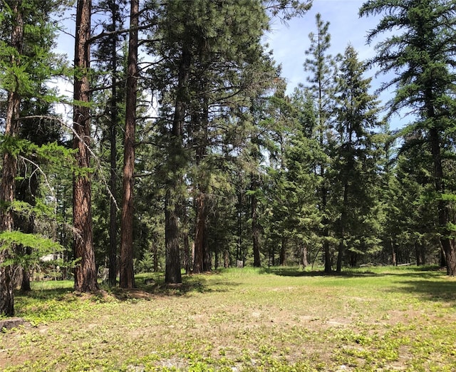 192 Crystal Lakes Dr, Eureka, MT 59917 - view of tree filled area