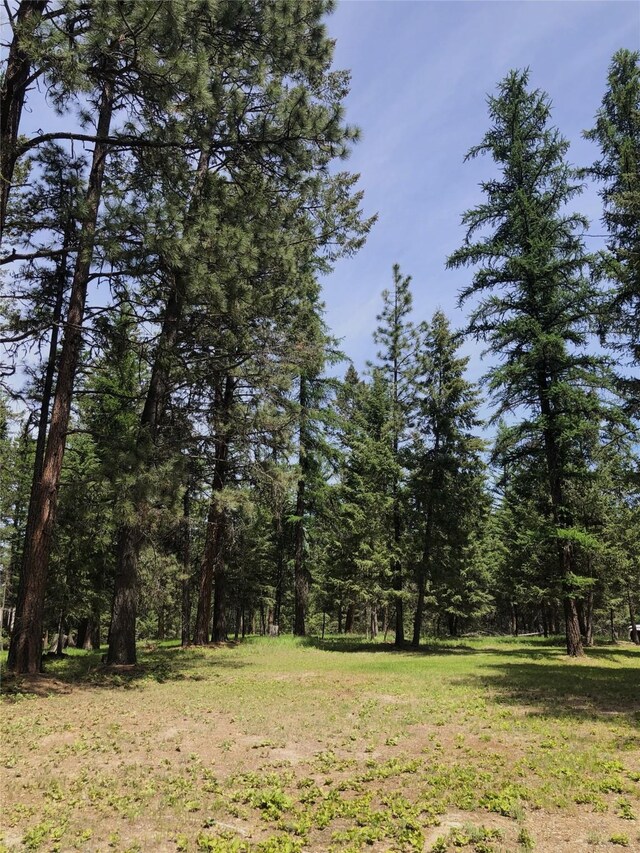 192 Crystal Lakes Dr, Eureka, MT 59917 - view of grassy yard featuring a forest view