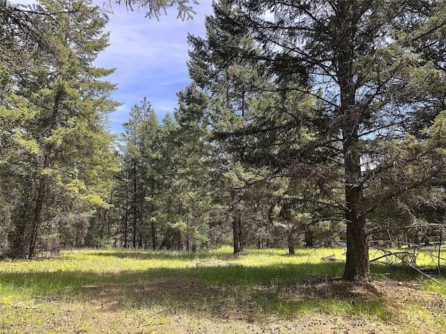 192 Crystal Lakes Dr, Eureka, MT 59917 - view of wooded area