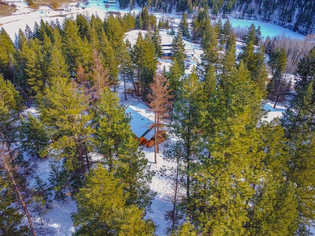 192 Crystal Lakes Dr, Eureka, MT 59917 - snowy aerial view featuring a forest view