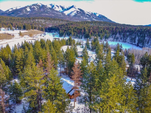 192 Crystal Lakes Dr, Eureka, MT 59917 - view of mountain background with a heavily wooded area