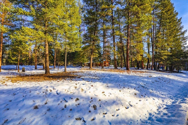 192 Crystal Lakes Dr, Eureka, MT 59917 - view of snowy yard