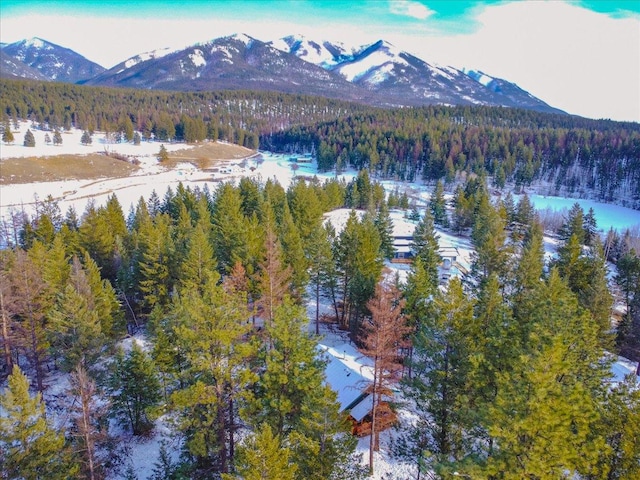192 Crystal Lakes Dr, Eureka, MT 59917 - mountain view featuring a forest