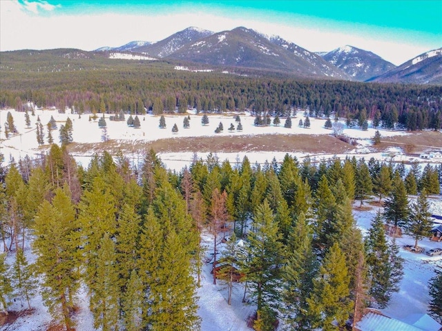 192 Crystal Lakes Dr, Eureka, MT 59917 - view of mountain background featuring a forest