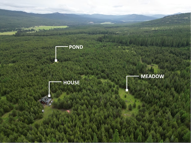 birds eye view of property featuring a mountain view