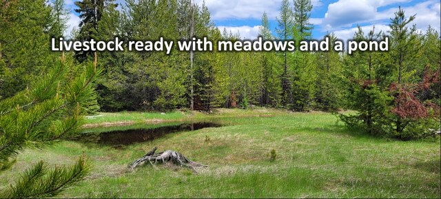 9411/9415 Lost Prairie Rd, Marion, MT 59925