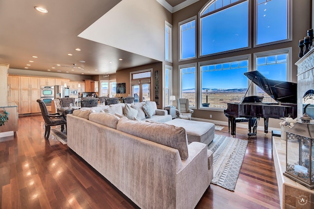 living room featuring a high ceiling, crown molding, and dark wood-type flooring