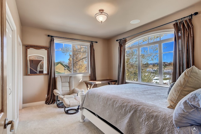 4428 Fox View Loop, Helena, MT 59602 - carpeted bedroom with baseboards