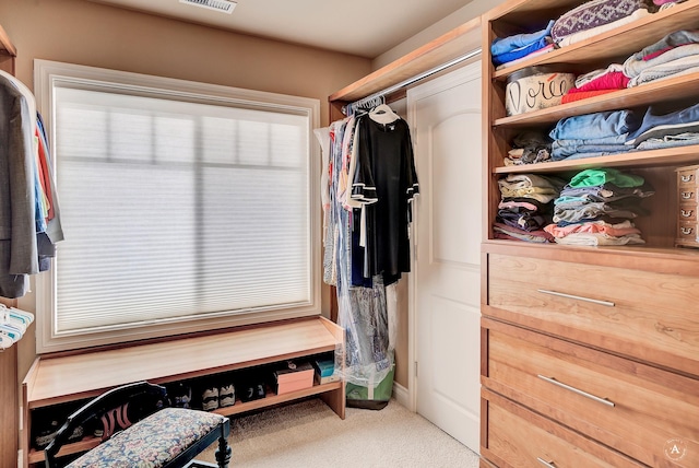 4428 Fox View Loop, Helena, MT 59602 - walk in closet featuring carpet