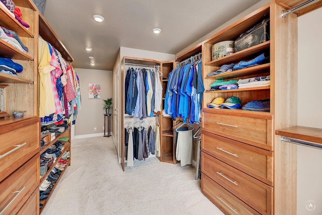 spacious closet with light carpet