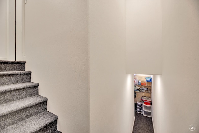 stairs with carpet floors