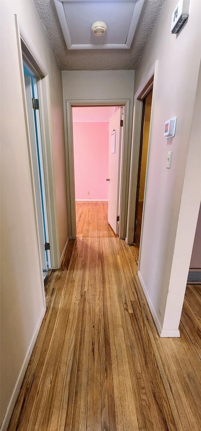 corridor featuring light hardwood / wood-style floors