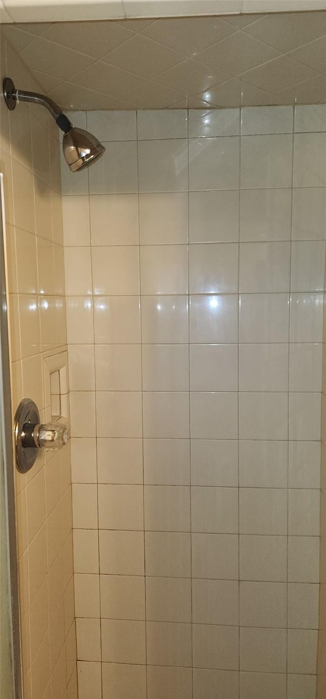 room details featuring tiled shower