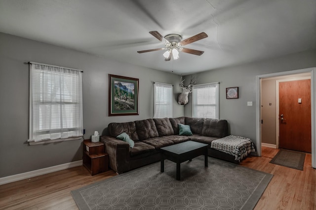 living room featuring ceiling fan and light hardwood / wood-style flooring