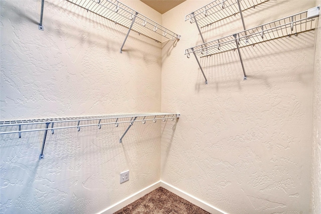 walk in closet with carpet floors