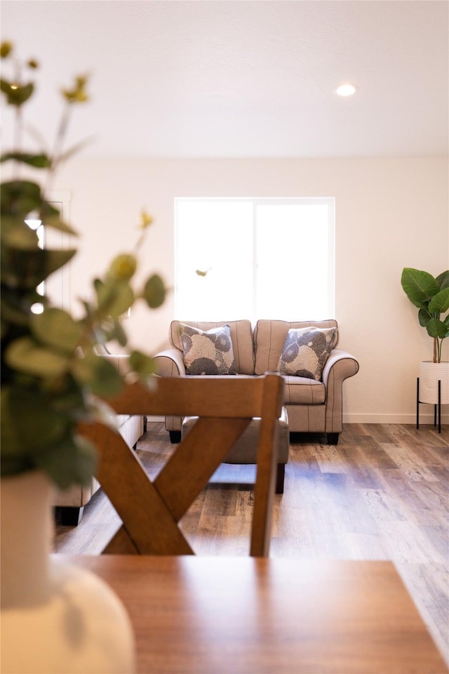 living room with wood-type flooring