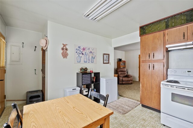 bedroom with multiple windows, a baseboard radiator, a textured ceiling, and carpet flooring