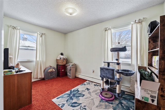 carpeted home office featuring plenty of natural light, a textured ceiling, and baseboard heating