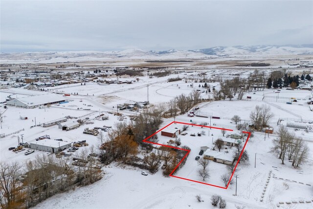 view of yard covered in snow