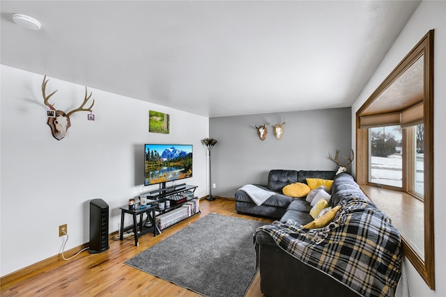 living room featuring wood-type flooring