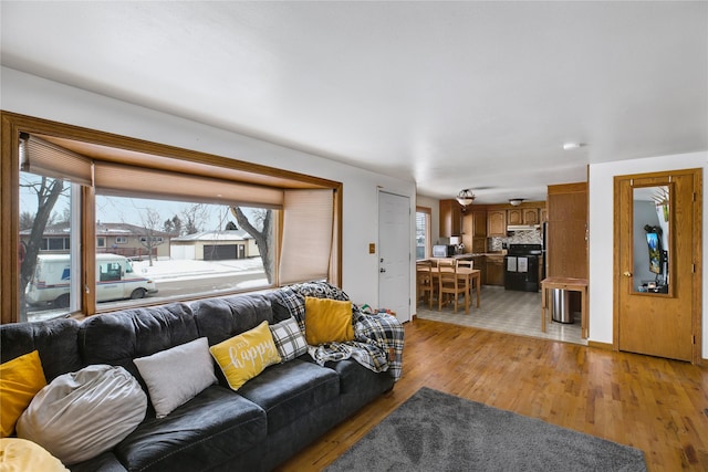 living room with light wood-type flooring