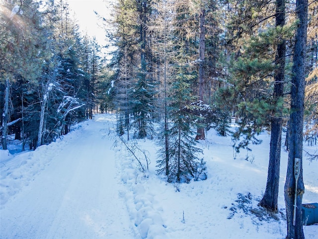 view of snow covered land