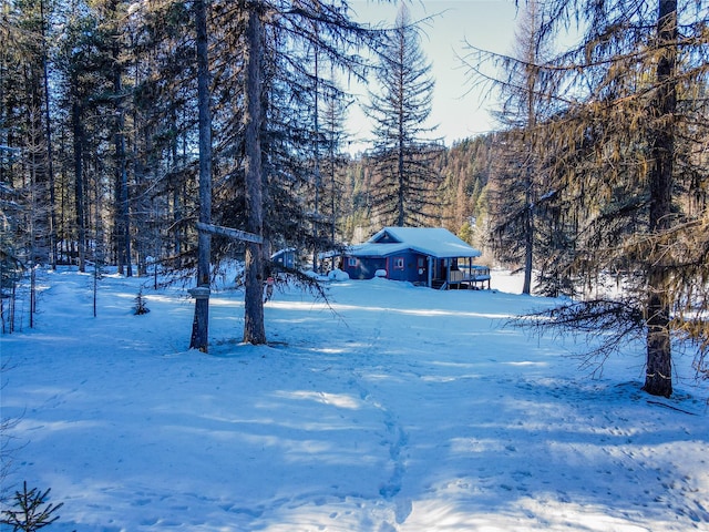 view of yard covered in snow