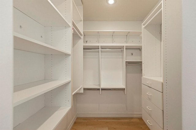 spacious closet featuring light wood-type flooring