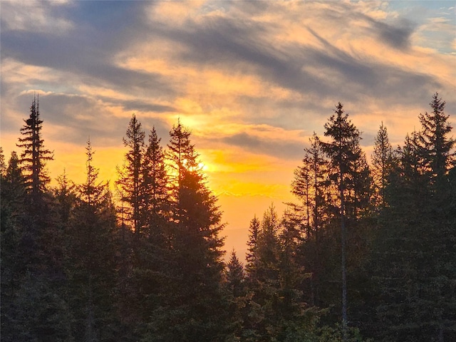 view of nature at dusk