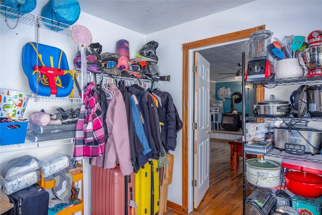 walk in closet featuring hardwood / wood-style flooring