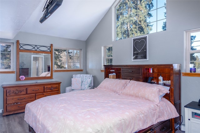 bedroom featuring high vaulted ceiling and hardwood / wood-style floors