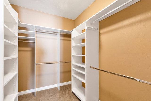 spacious closet featuring carpet