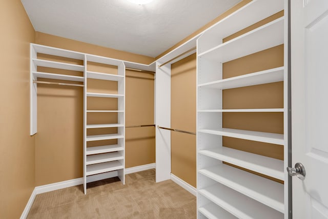 spacious closet with carpet