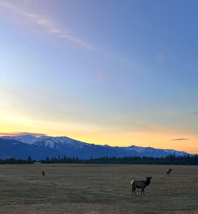 169 S Hill Rd, Trout Creek, MT 59874
