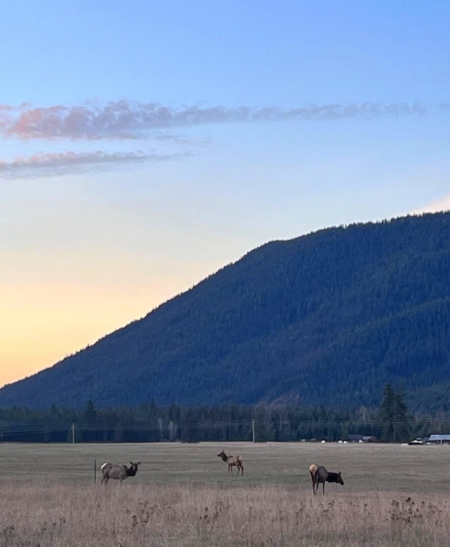 169 S Hill Rd, Trout Creek, MT 59874