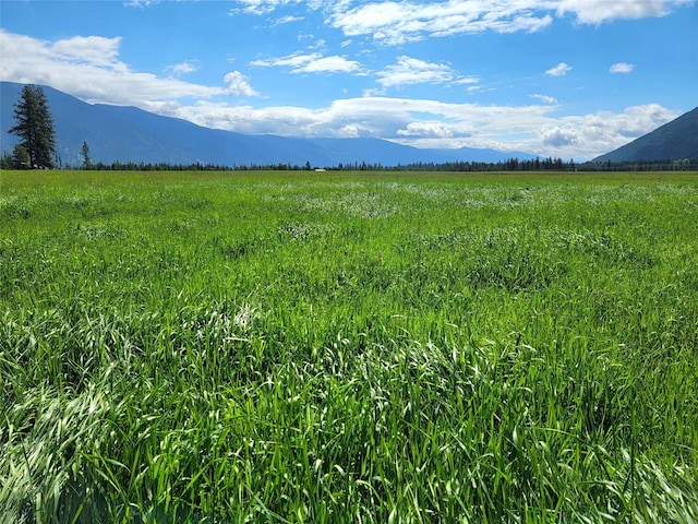 169 S Hill Rd, Trout Creek, MT 59874