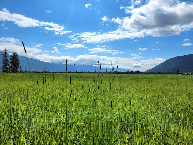 169 S Hill Rd, Trout Creek, MT 59874