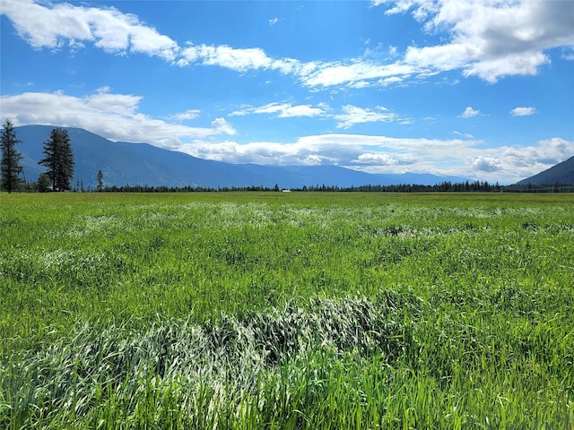 169 S Hill Rd, Trout Creek, MT 59874