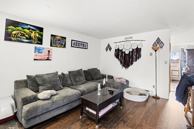 living room featuring dark hardwood / wood-style flooring