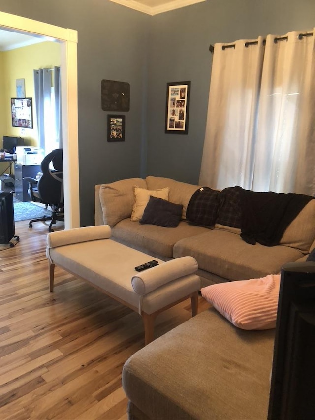 living area featuring ornamental molding and wood finished floors