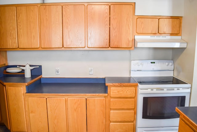 35011 Little Marten Rd, Ronan, MT 59864 - kitchen with electric range, under cabinet range hood, and dark countertops