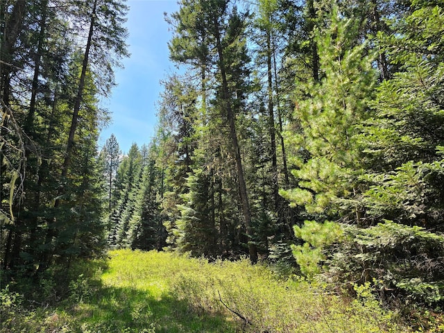 LOT2 Bayside Ln, Trout Creek, MT 59874