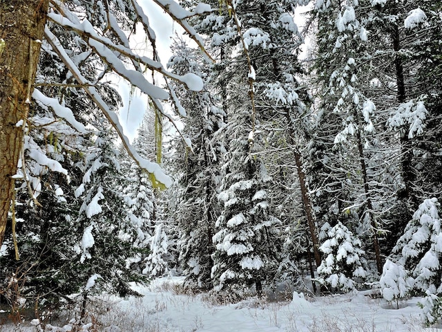 NHN Bayside Lane, Trout Creek, MT 59874