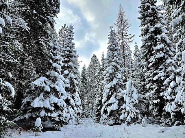 LOT2 Bayside Ln, Trout Creek, MT 59874