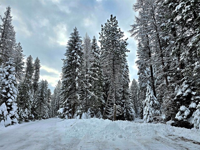 LOT2 Bayside Ln, Trout Creek, MT 59874
