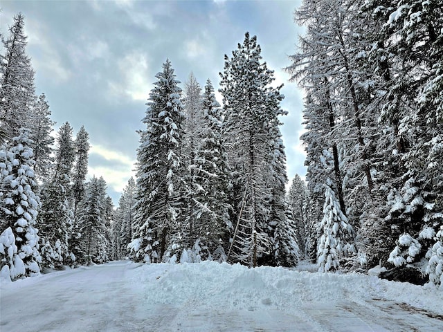 NHN Bayside Lane, Trout Creek, MT 59874